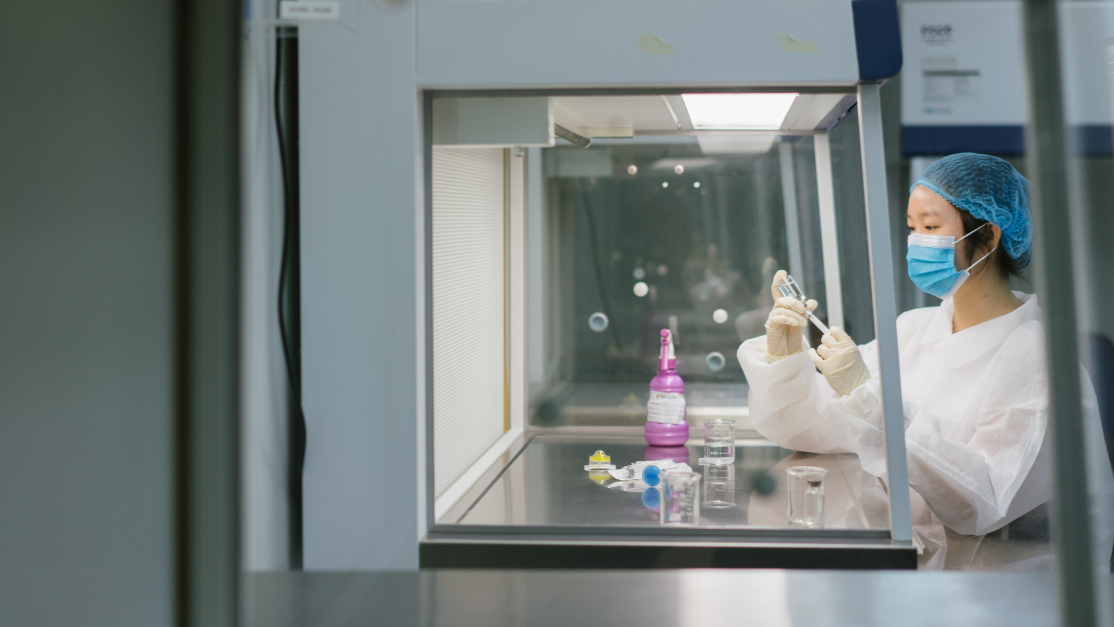 a class working on a microbiology assignment