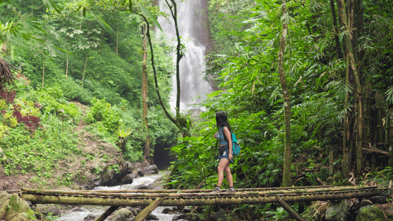 Woman walking on a bridge in a jungle