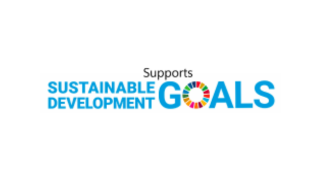 UNSDG logo