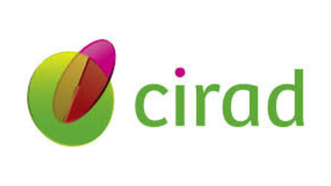 Logo for Cirad