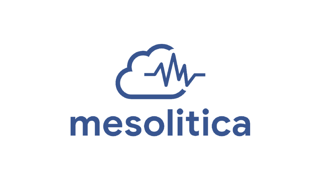 Logo for Mesolitica Sdn. Bhd.