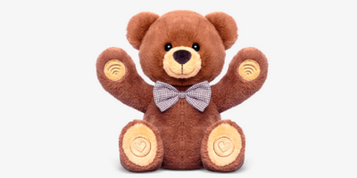 A teddy bear