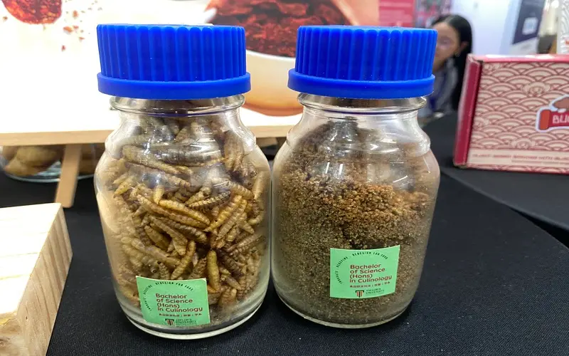 BSFL before (left) and after (right) being grinded to powder