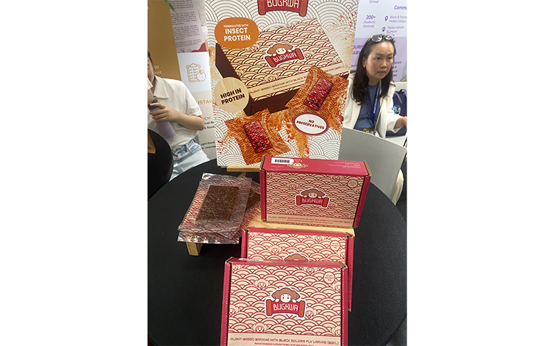 “Bugkwa” BSFL jerky (a play on the word “Bakkwa”, a meat jerky)