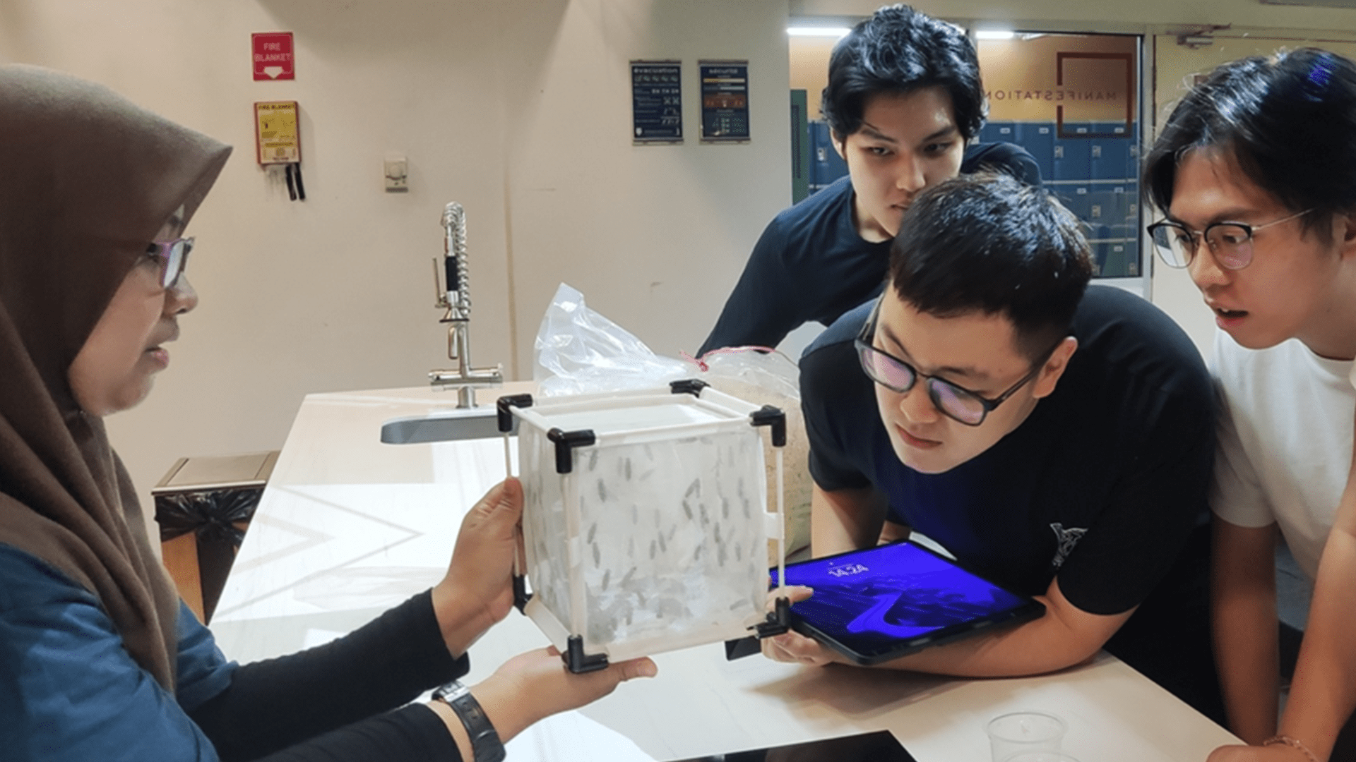 Taylor's student looking at the experimental box