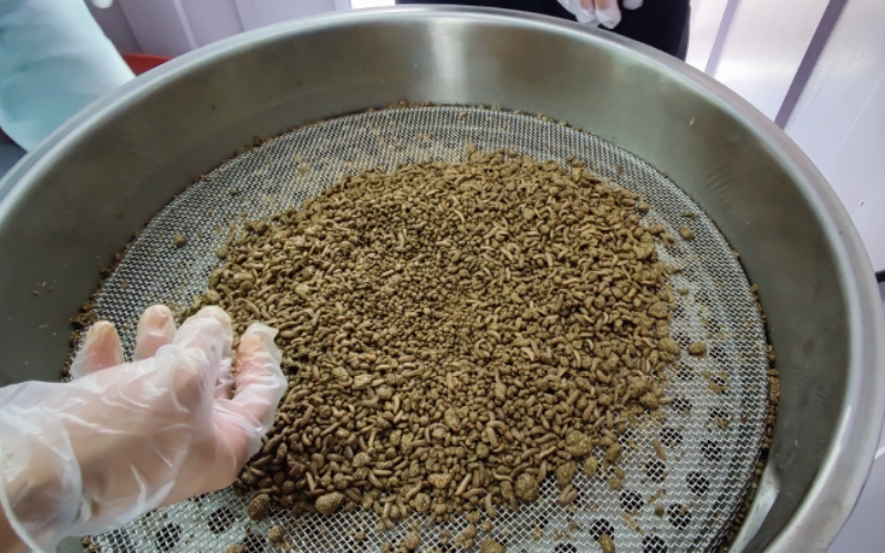 Separating the BSFL larvae from their frass