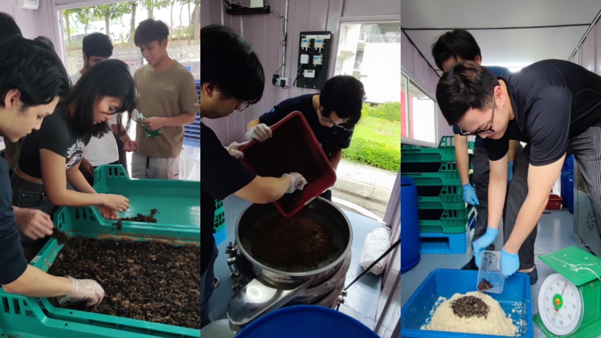 Overcoming initial fears to feed and breed BSFL, then using it as a food product ingredient