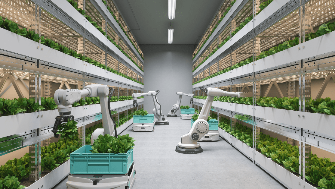 Robotic at urban farm