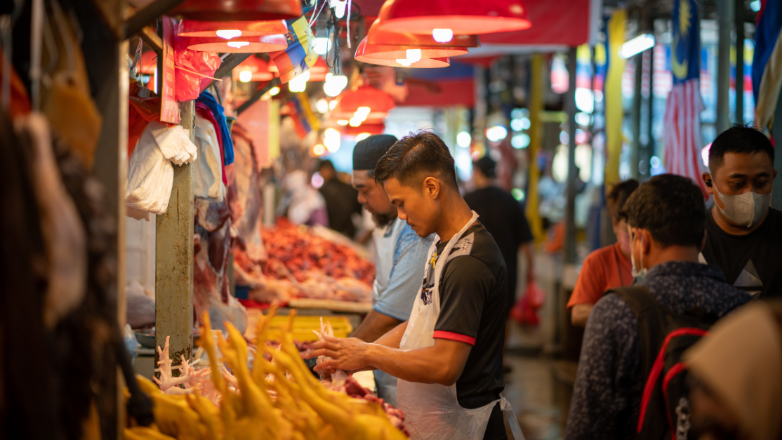 Consultation between a doctor with a patient