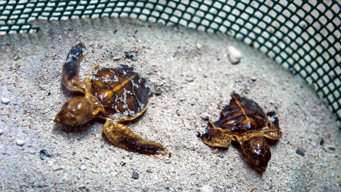 Tourism spot in Malaysia