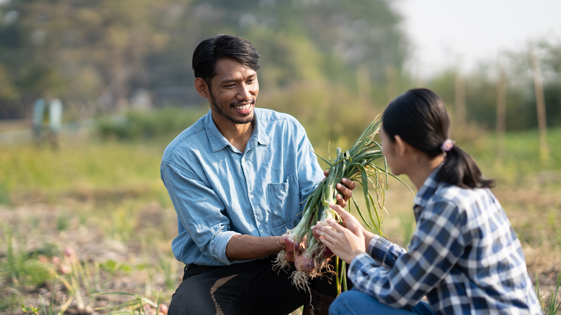 Researcher at the field