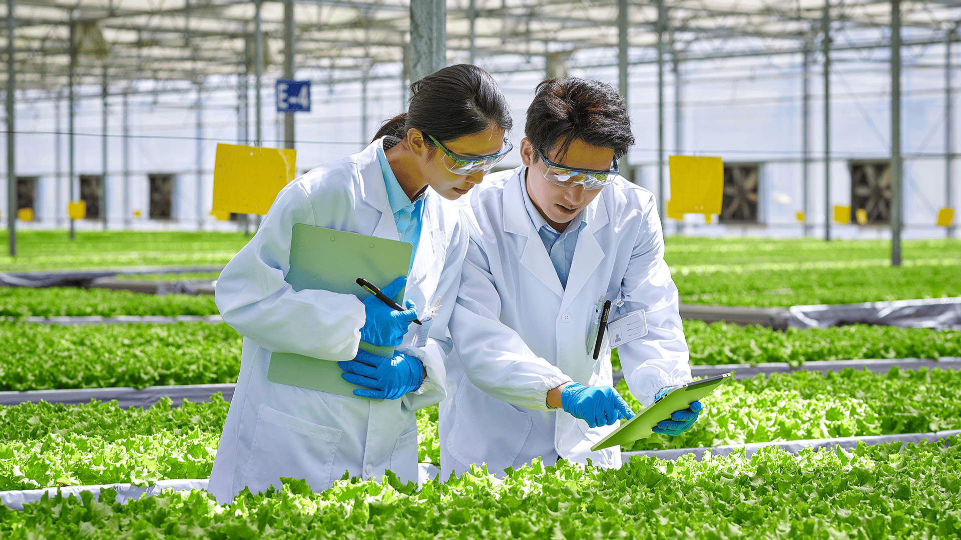 Research at the field