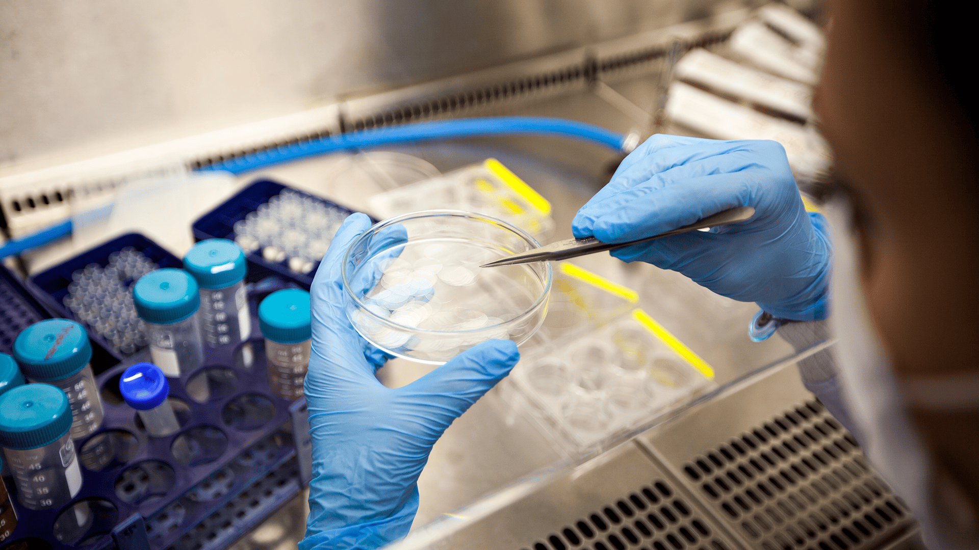 Researcher in the lab