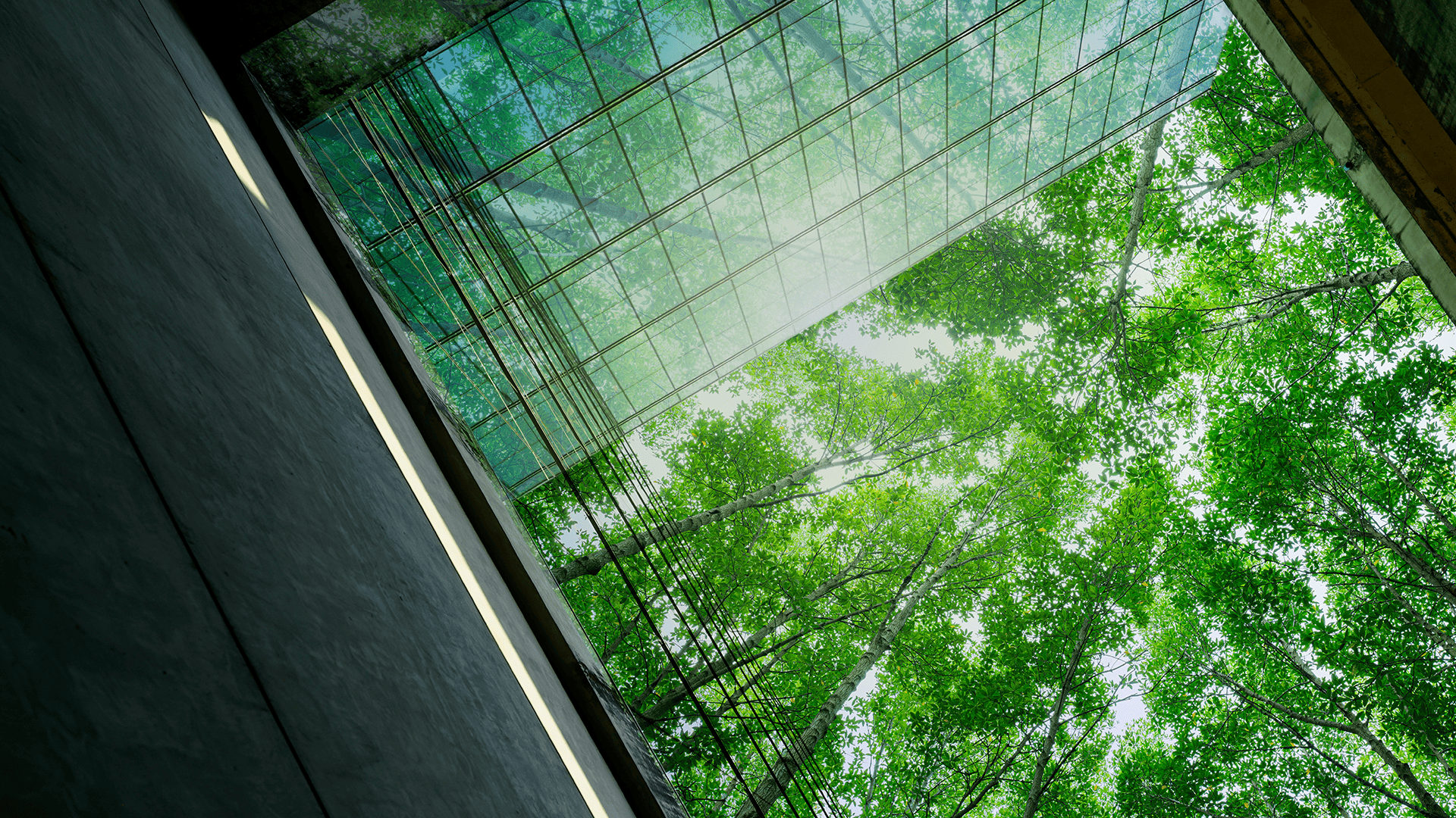 Greenery of the building