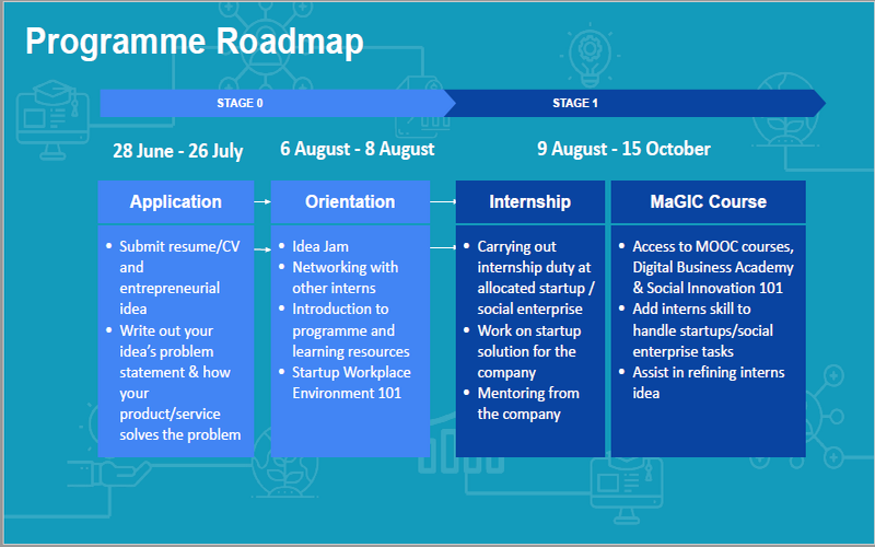 Screenshot showing the roadmap for the internships