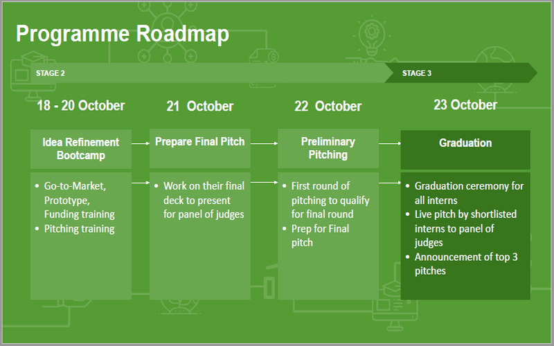 Screenshot showing the roadmap for the internships
