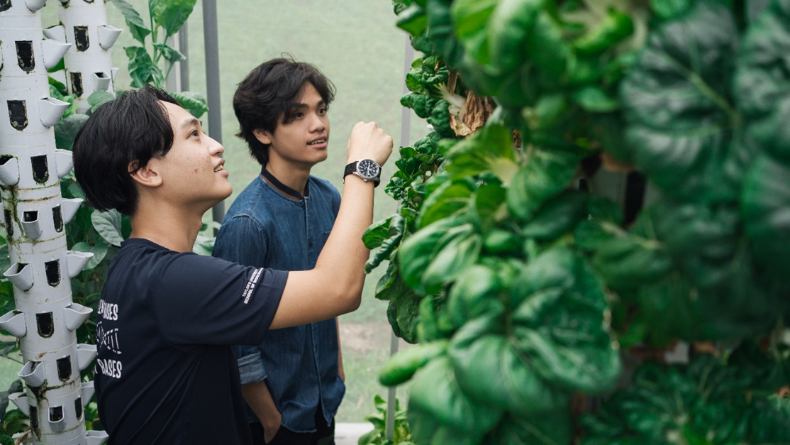 students examining vertical planting technique