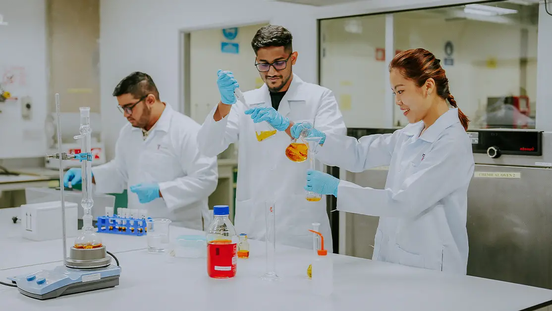 When Science Meets Snack Time