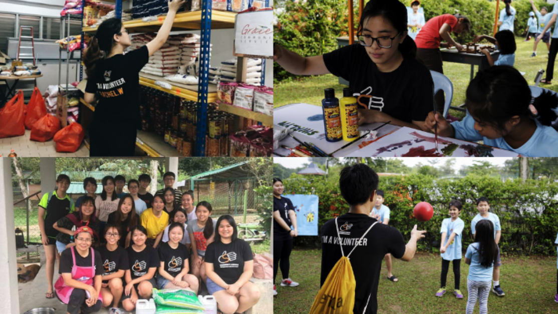 collage of multiple volunteering activities