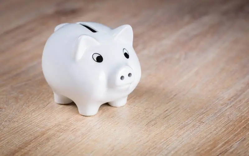 Piggy bank with no money inside