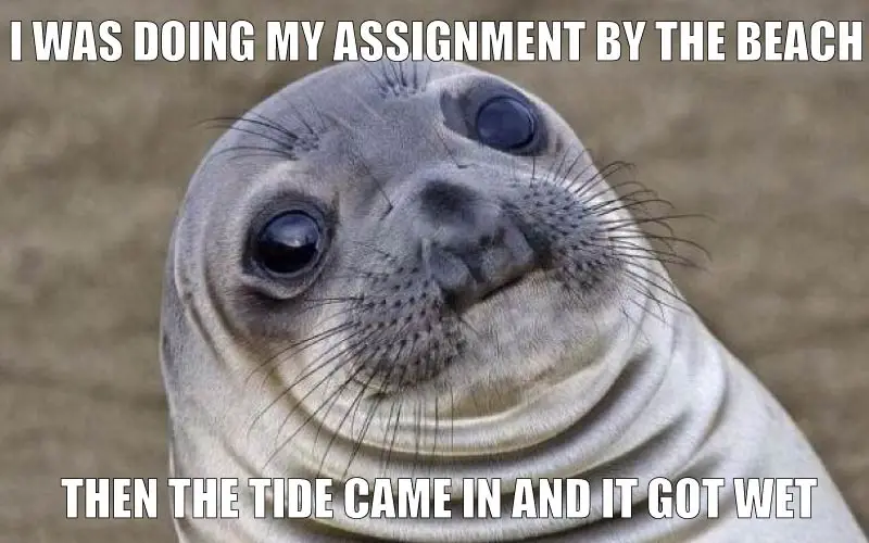 seal meme 