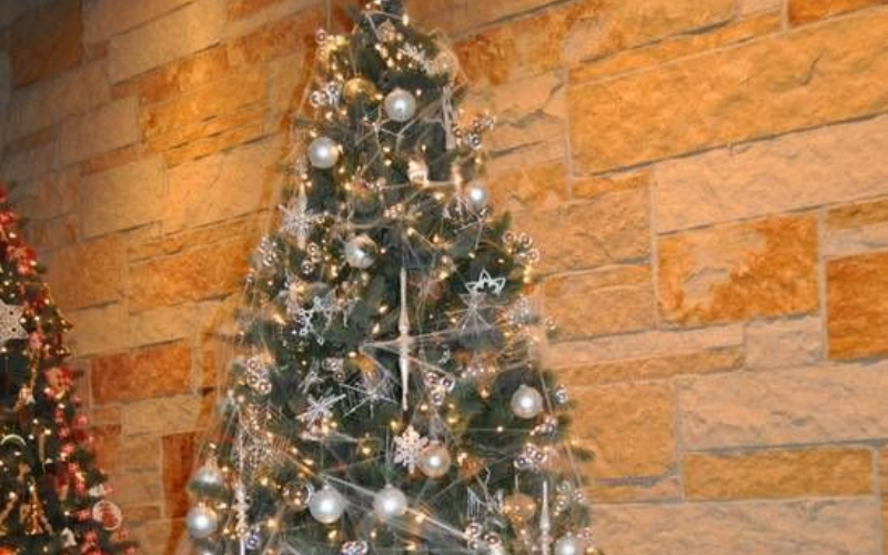 Tree with spider webs