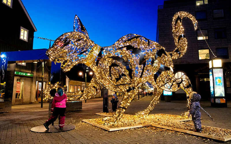 Light art installation of cat