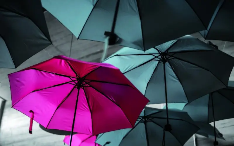 pic of umbrellas with a pink one standing out