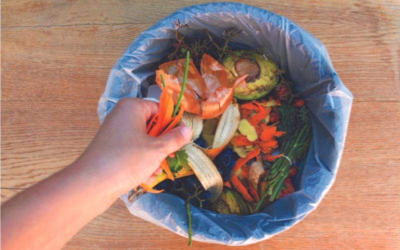 Taylors Case Study Building a Stronger Immune System