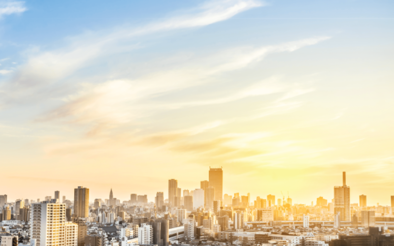 Taylors Case Study The Sustainability of World Heritage Sites