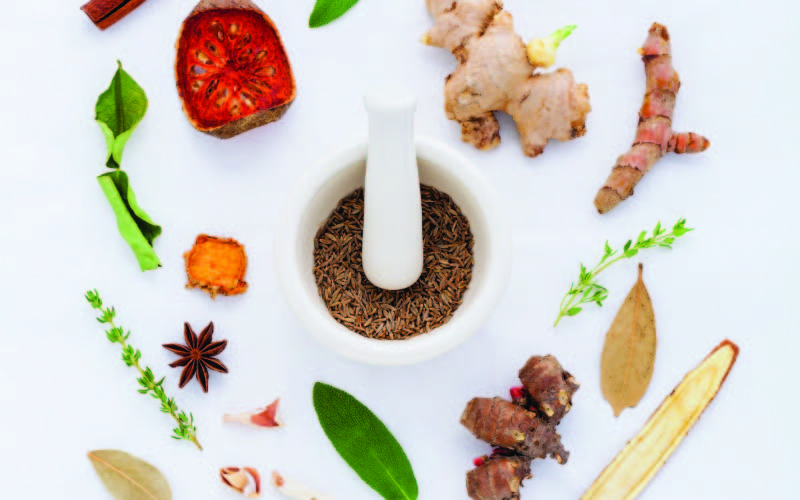 Shop for Ingredients to Prepare Your Chosen Meals