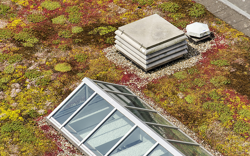 Green roof