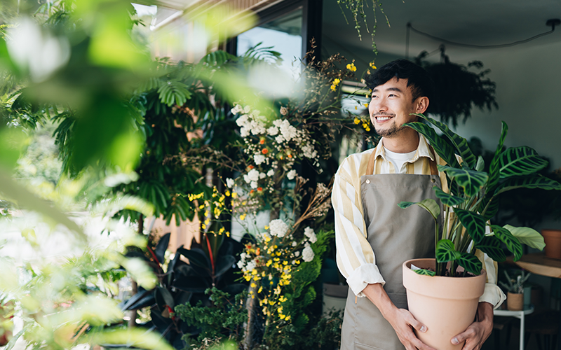 Male florist holding a potted plant in a florist's
