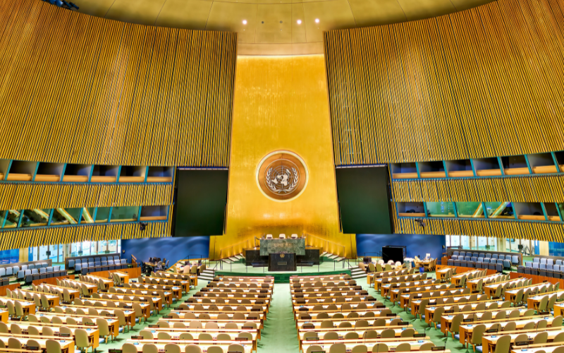 The United Nations General Assembly