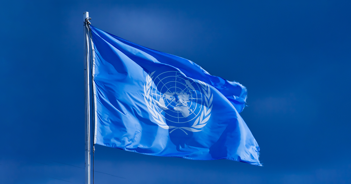 United Nations: Forging a Global Force