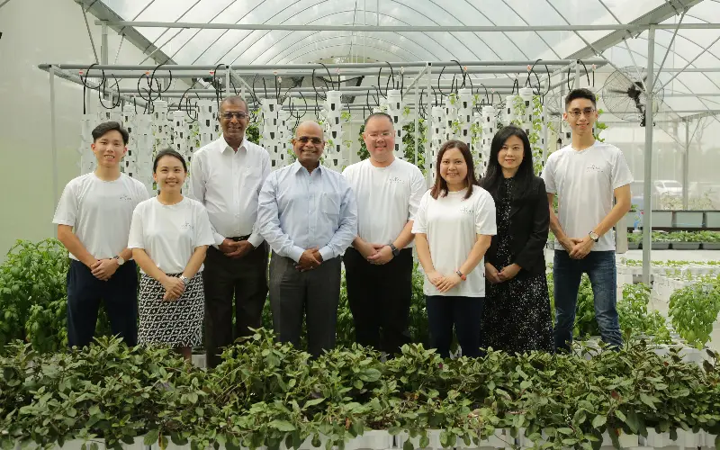 Taylor's Urban Farm launch