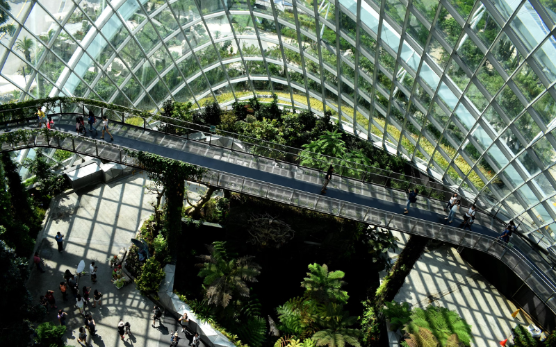 Greenery at Singapore Changi Airport Terminal 3