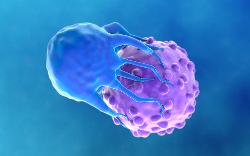 CAR-T Cell Therapy Targeting Cancer Cells