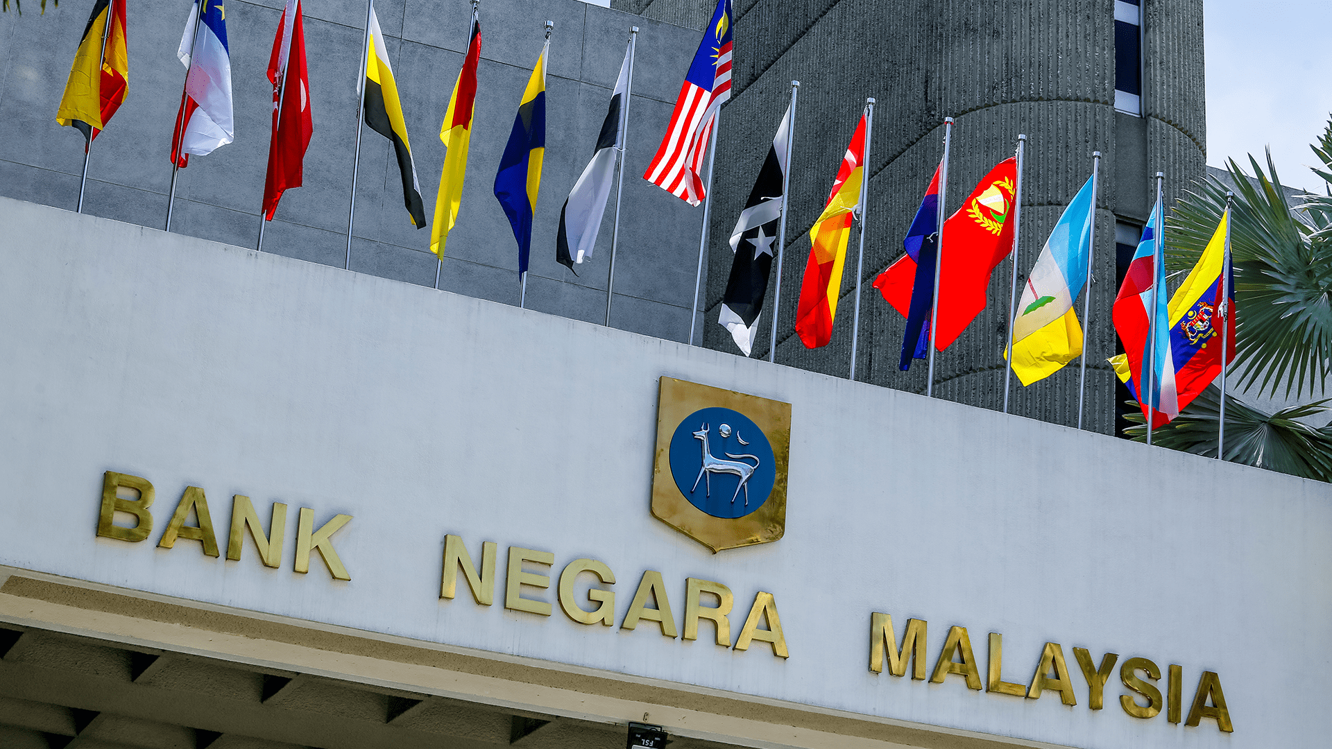 The Future of Money: Digital Currencies and Their Global Impact