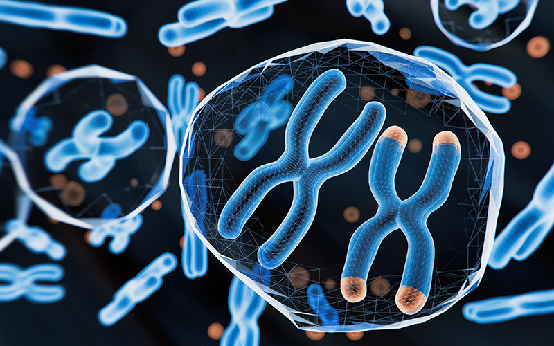 Microscopic SEM (TEM) hologram view