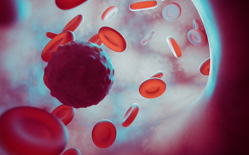 Inside view of human internal vein or artery