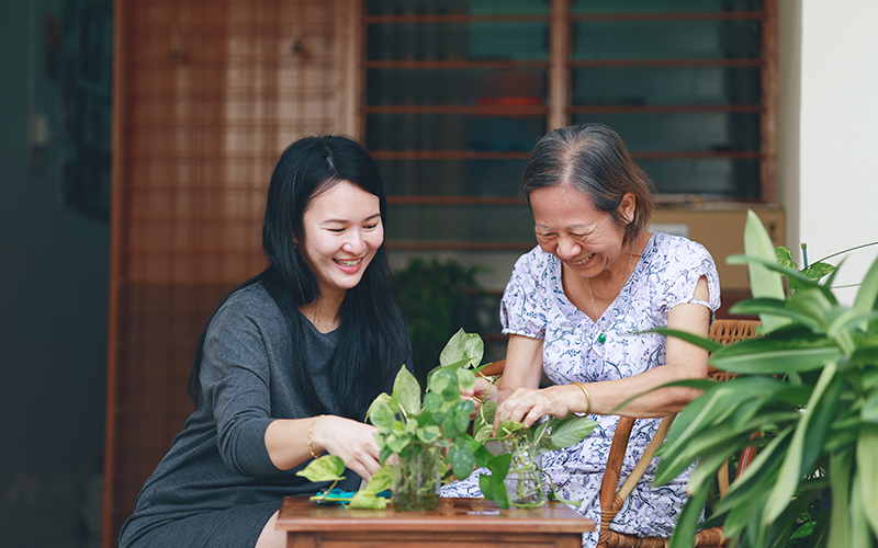 The Asian adult daughter is helping her mother repot a house plant at home.
