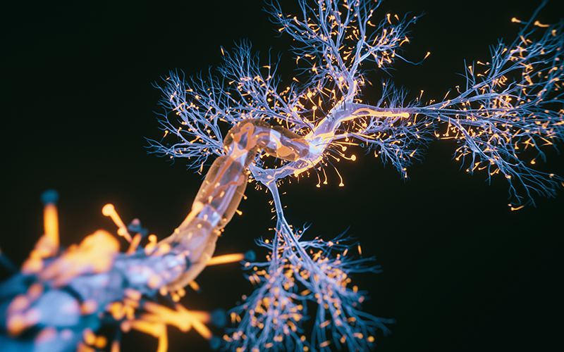 - 3d rendered image of Neuron cell on black background