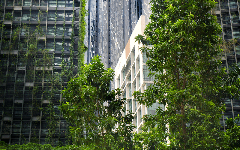 Greenery at the building