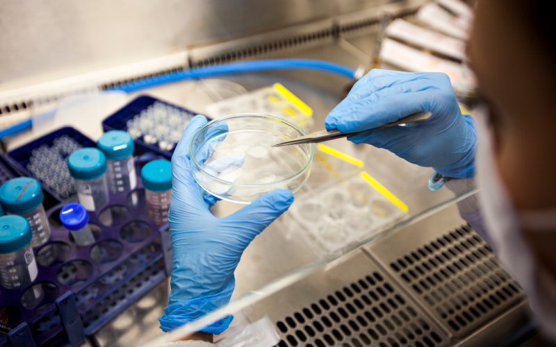 Young doctor researches in lab