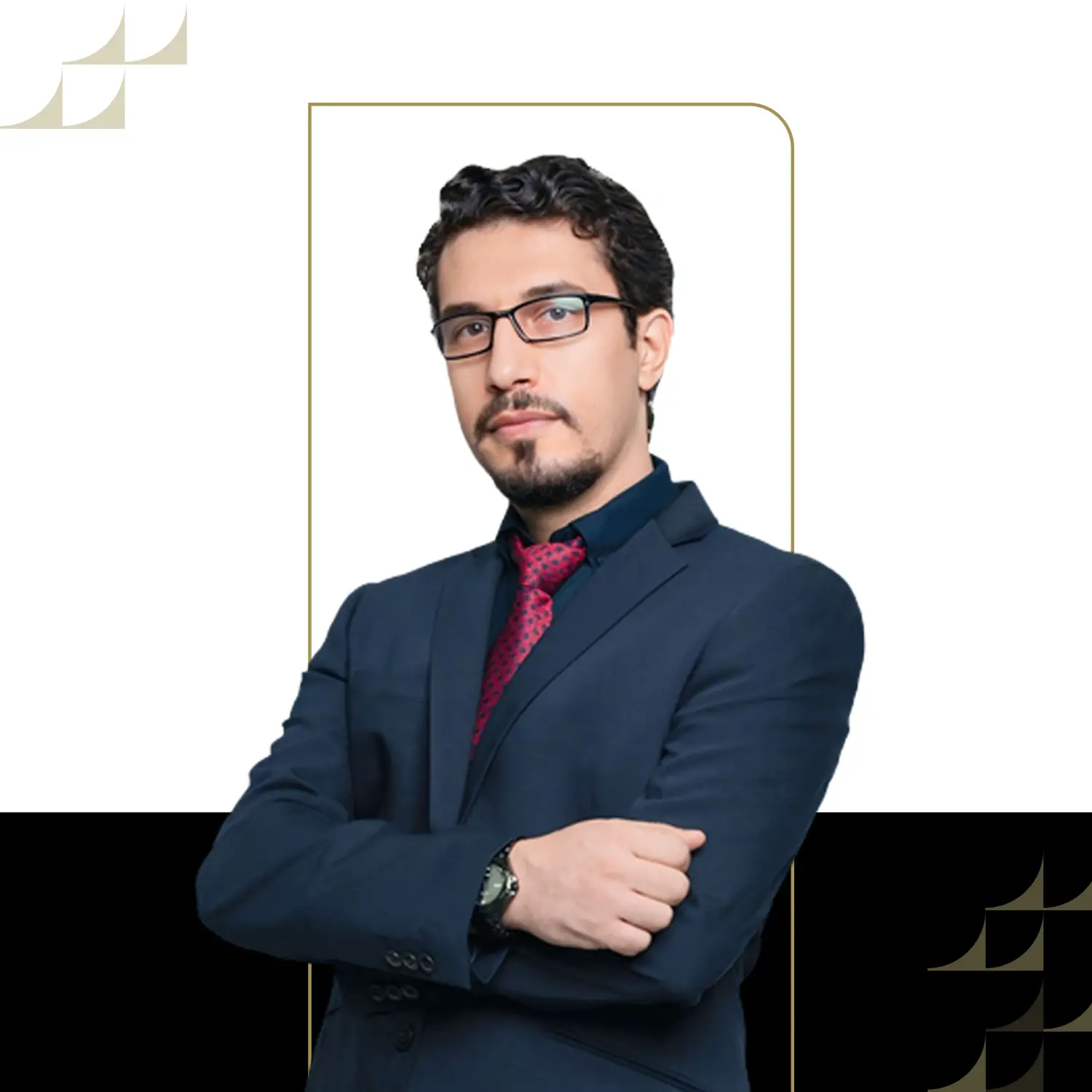 Portrait photo for Dr Bahman Nasiri Tabrizi