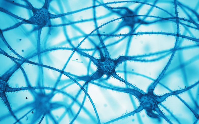 A microscopic-style image of interconnected neurons, glowing in shades of blue