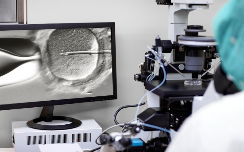 A scientist performing IVF in a lab, with a monitor displaying a microscopic view of a needle injecting an egg cell