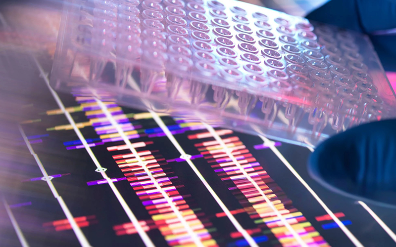 experiment in the lab