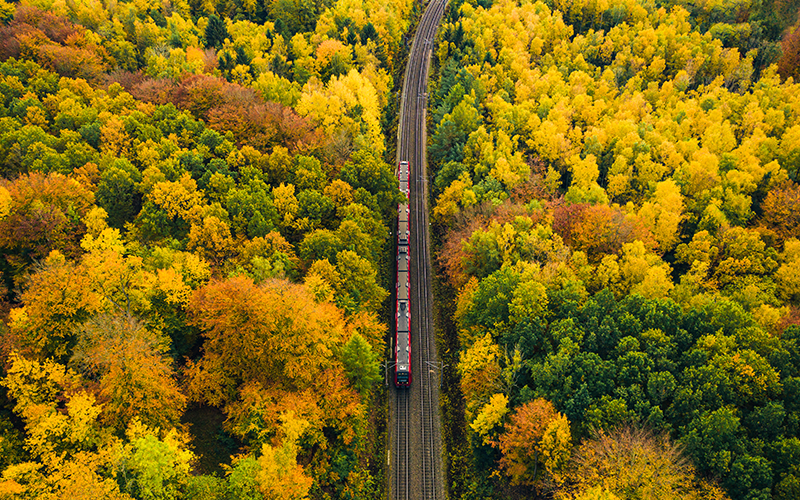 Electric city train running on rails above the car traffic from central Copenhagen to the outskirts outside of the city, where forest and nature is found
